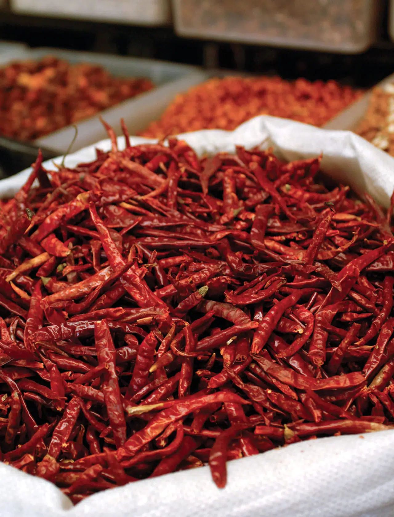 Chile de arbol seco